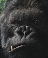 King Kong